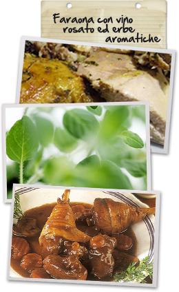 Faraona con Vino Rosato ed Erbe Aromatiche Faraona con Vino Rosato ed Erbe Aromatiche