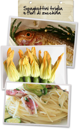 Spaghettini Triglia e Fiori di Zucca Spaghettini Triglia e Fiori di Zucca