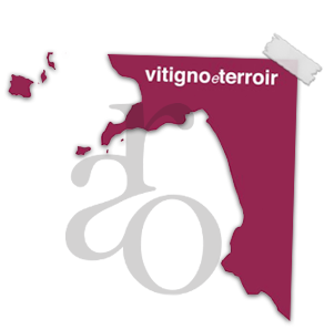 vitignoeterroir vitignoeterroir
